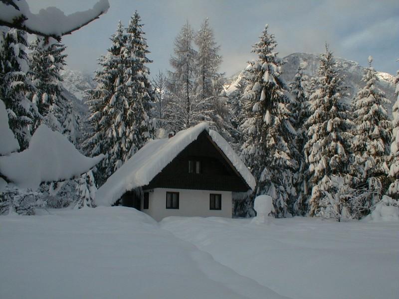 Apartmaji In Sobe Bohinjsko Jezero Ukanc Ngoại thất bức ảnh